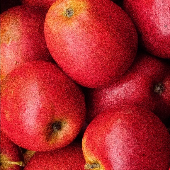 The Lovers Tarot Enamel Pin - Frog and Toad - Picture 4 of 4